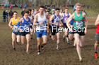Senior men, 2020 British Athletics Inter Counties Cross Country Champs., Prestwold Hall, Loughborough. Photo: David T. Hewitson/Sports for All Pics